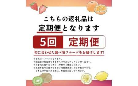旬のフルーツ定期便 5回 Aコース フルーツ 定期便