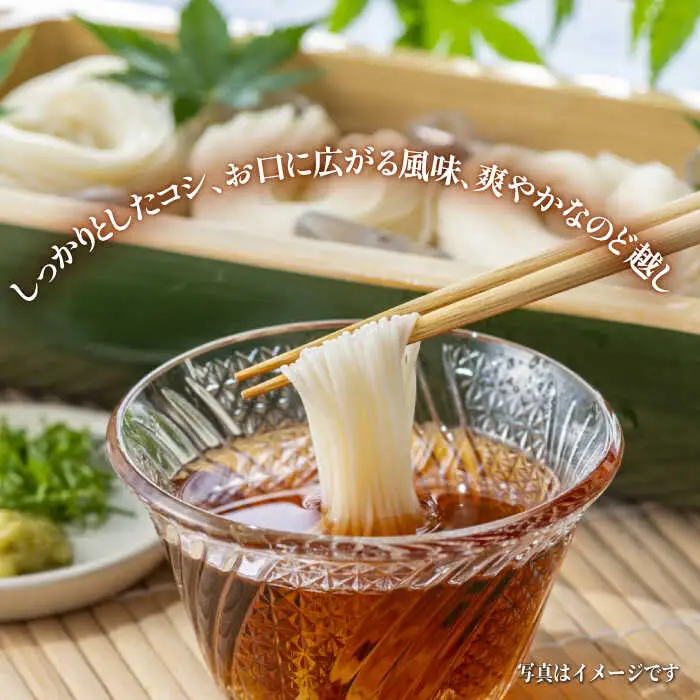 島原手延べそうめん 3kg [SCM030] そうめん
