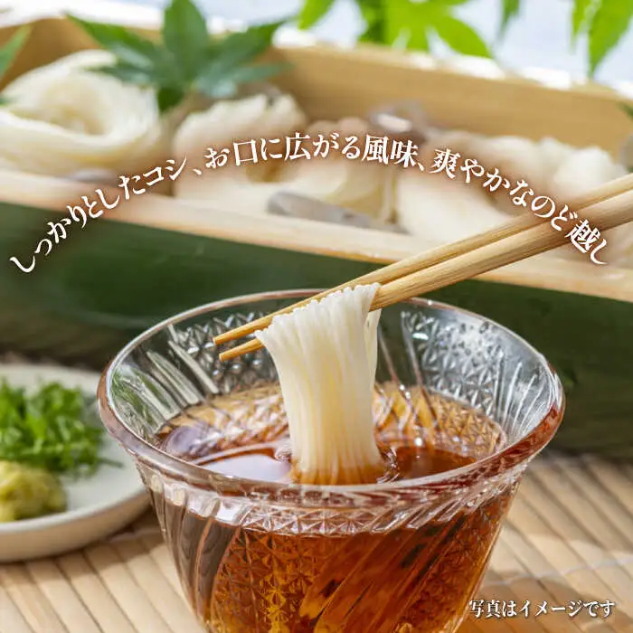【宮内庁献上品】手延べそうめん 九州産小麦粉100％ 2種 食べ比べ  [SCM040] そうめん