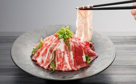 馬刺し 桜屋 花びら馬刺し 極薄スライス 3種 馬刺し【300g】【冷凍】