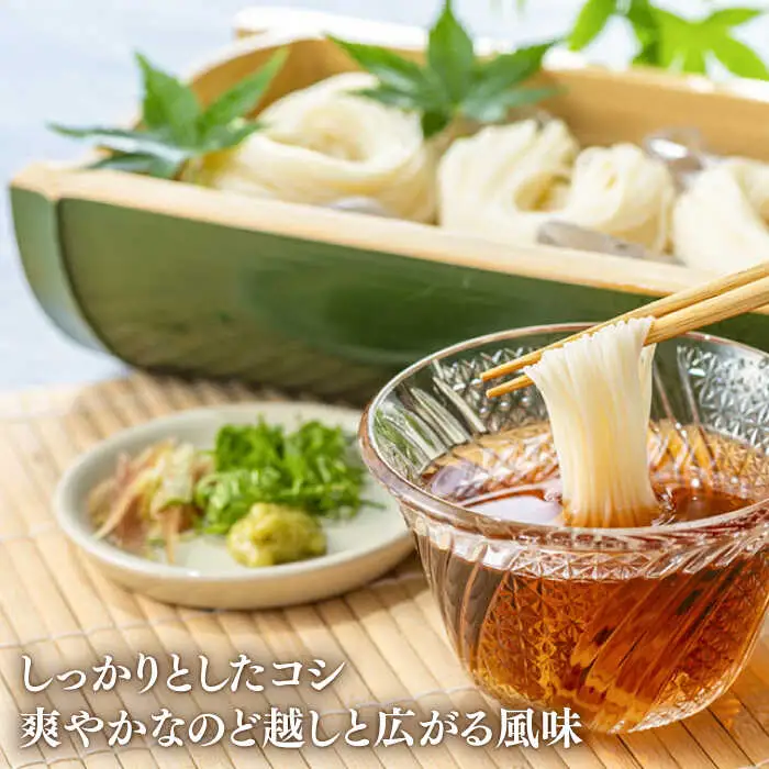 【一級製麺技能士謹製】島原手延べそうめん 2kg あごだし付 / そうめん 島原そうめん 手延べ 麺 素麺 / 南島原市 / 川上製麺 [SCM047]