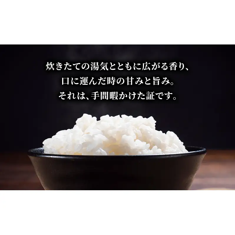 幸結び コシヒカリ 10kg 米 お米 精米 白米 こめ コメ 令和7年産 令和7年 福島県 郡山市