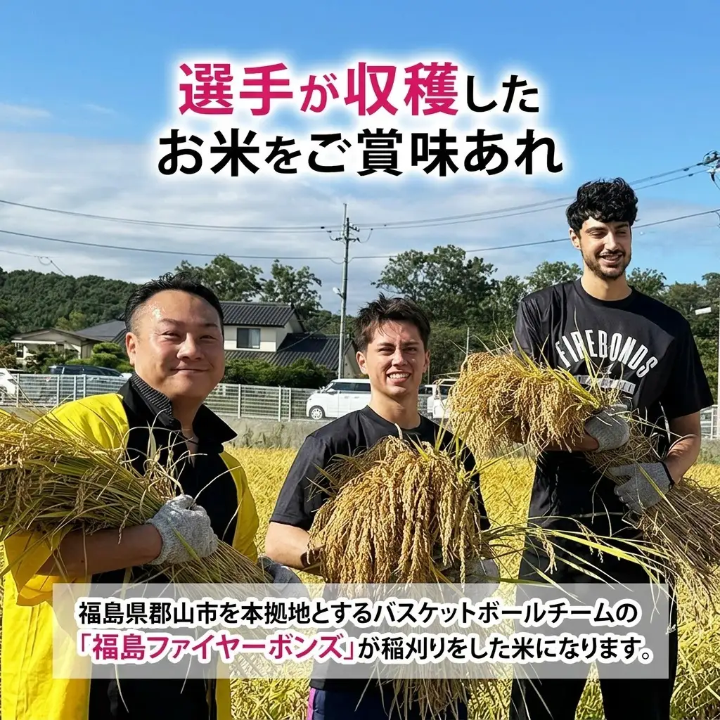 ひとめぼれ ボンズ米 精米 福島県産 ひとめぼれ【10kg】