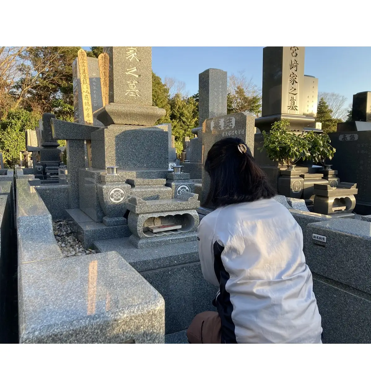 【千葉市平和公園】墓所管理代行サービス（年4回コース）普通墓地 お墓 管理 確認 代行 サービス 写真付 墓石清掃 献花 お花 お線香 お供え 雑草除去 草むしり 千葉 千葉市
