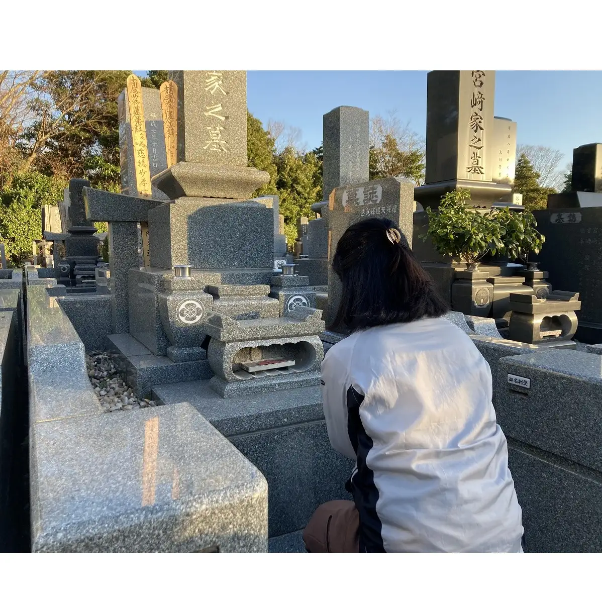 【千葉市平和公園】墓所管理代行サービス（年1回コース）芝生墓地 お墓 管理 確認 代行 サービス 写真付 墓石清掃 献花 お花 お線香 お供え 雑草除去 草むしり 千葉 千葉市