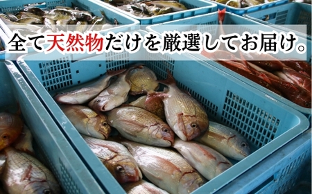 下処理済み 天然魚・切り身・アラセットC タレ付き 岬だより