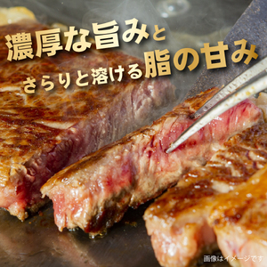 【新鮮チルド発送!!】A5等級宮崎牛特選サーロインステーキ 2枚 400g（黒毛和牛 牛肉 宮崎牛 A5 サーロイン ステーキ 焼肉 宮崎県） 