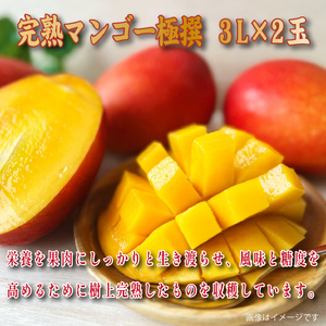 【2026年発送 先行予約】生産農家応援・濃厚果肉 みやざき完熟マンゴー極撰 3L×2玉（マンゴー フルーツ アップルマンゴー 果物 くだもの 2026 先行受付 宮崎）