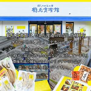 ＜先行予約受付中！2026年10月下旬より順次発送予定＞大分県佐伯産かぼすぶり しゃぶ セット (計1kg) 個包装 魚 さかな 鰤 鰤しゃぶ あつめし 食べ比べ 国産 大分県産 スライス 小分け 海鮮 海産物 鍋 魚介 養殖 冷凍【AQ100】【鶴見食賓館】