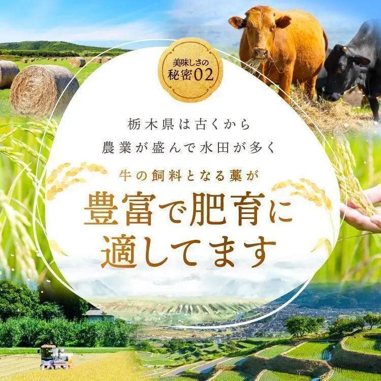 宮福笑牛(とちぎ和牛) A5 モモ焼き肉 約400g｜数量限定 黒毛 和牛 お肉 栃木県共通返礼品 栃木県産
