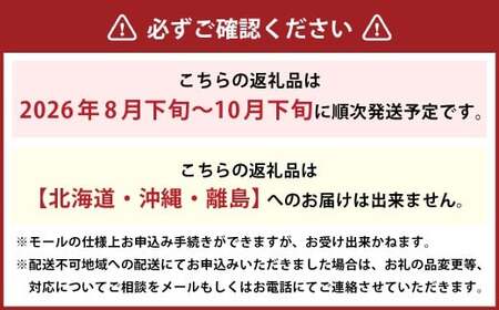 先行予約岡山県産ニューピオーネ 約2kg（3～6房）【2026年8月下旬～10月下旬まで順次発送予定】 葡萄 ぶどう ブドウ フルーツ 果物 冷蔵