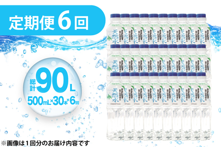 AJ616 山崎本店酒造場 【6回定期便】 雲仙島原の天然水 500mL 30本 計15L