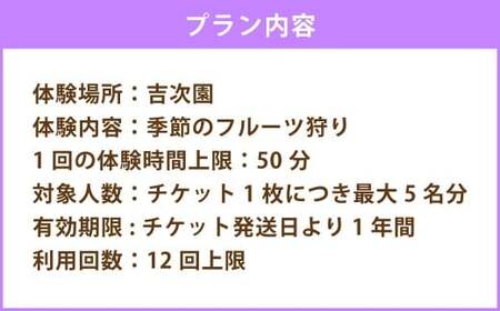 観光農園吉次園の「旬を味わうフルーツ狩りパスポート」（計12回） 果物狩り フルーツ 狩り 食べ比べ 食べ放題 季節 旬 家族 体験チケット チケット 体験 熊本県