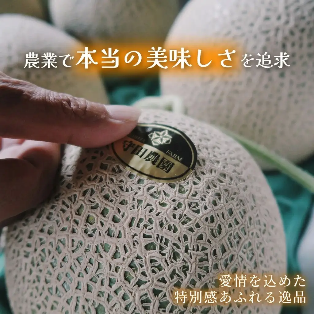 赤肉メロン 糖度15度以上 特秀品 富良野産【2kg×2玉 2箱 計8kg】【2ヵ月定期便】