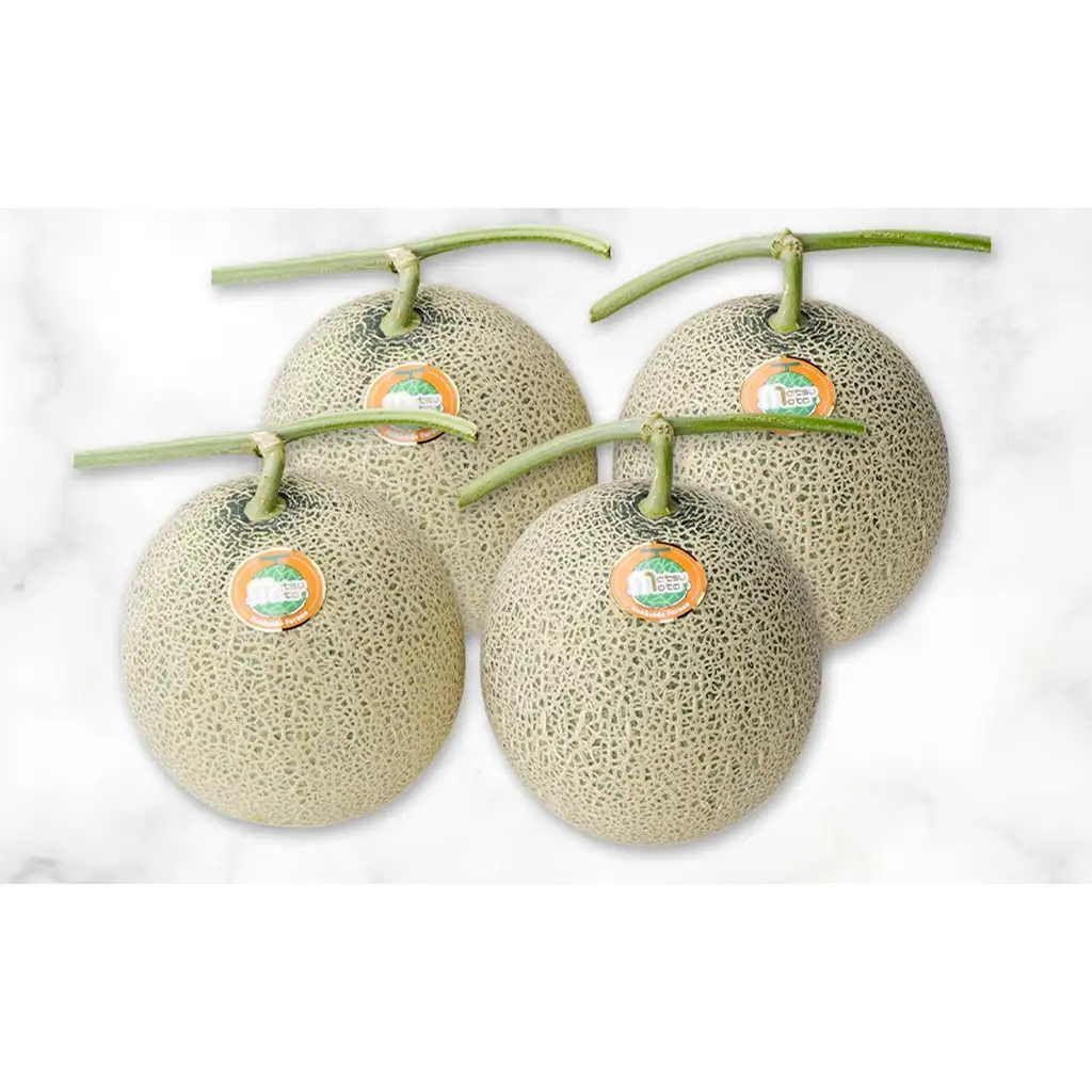 富良野メロン 赤肉 糖度15度以上 ファームまつもと メロン【4玉 8kg】