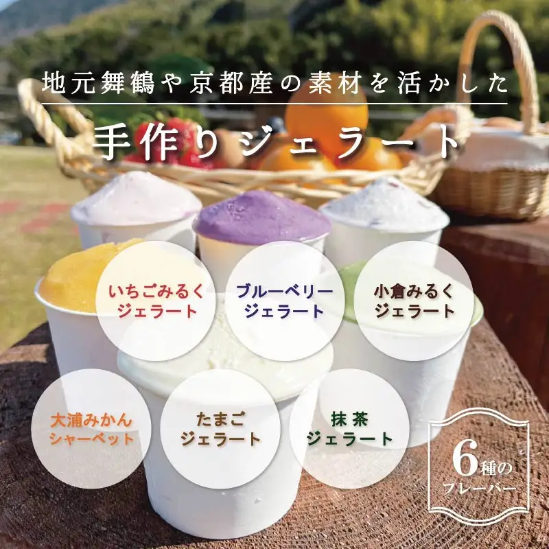 舞鶴ふるるファーム 手作りジェラート 6種セット