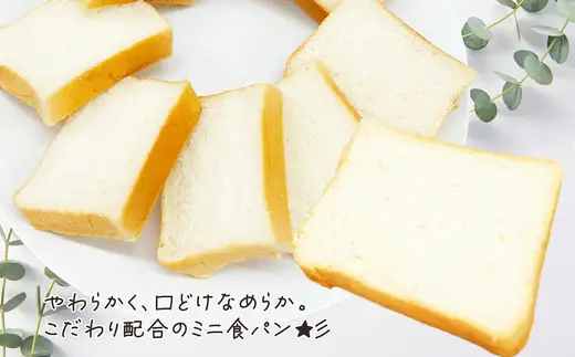 やわらかミニ食パン（6本入り）　【65P3003】【岩谷製パン】