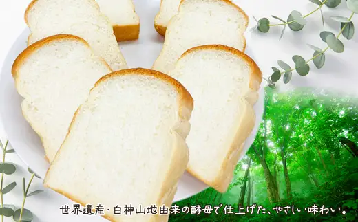 白神こだま酵母食パン（5本）　【45P3003】【岩谷製パン】