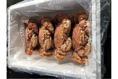 【北海道根室産】ボイル毛蟹500g前後×4尾 D-66011
