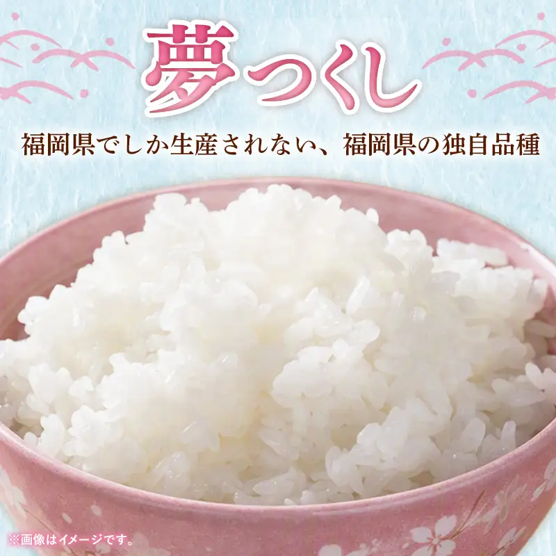 【令和7年産】 福岡県産 米 夢つくし 5kg ( 5kg×1袋 )【米 お米 精米 ブランド米 白米 ご飯 ごはん 夢つくし 5キロ 5kg 便利 福岡県産 旬 おにぎり お弁当 食品 福岡県 筑前町 送料無料 DT003】【価格改定】