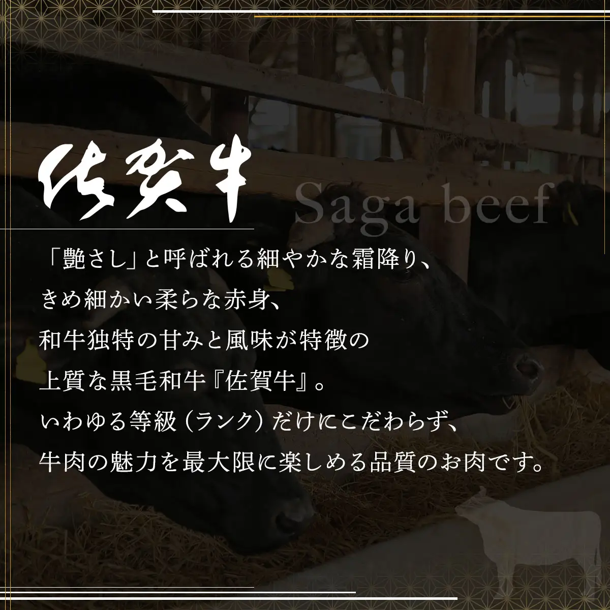 佐賀牛サーロインステーキ/すき焼き切落し（合計2kg）