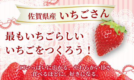 【先行予約】R9年1月下旬頃出荷開始 佐賀県産 いちごさん （ 240g×4P ）有明・潮風ファーム 直送品 果物 くだもの フルーツ イチゴ  B150-032