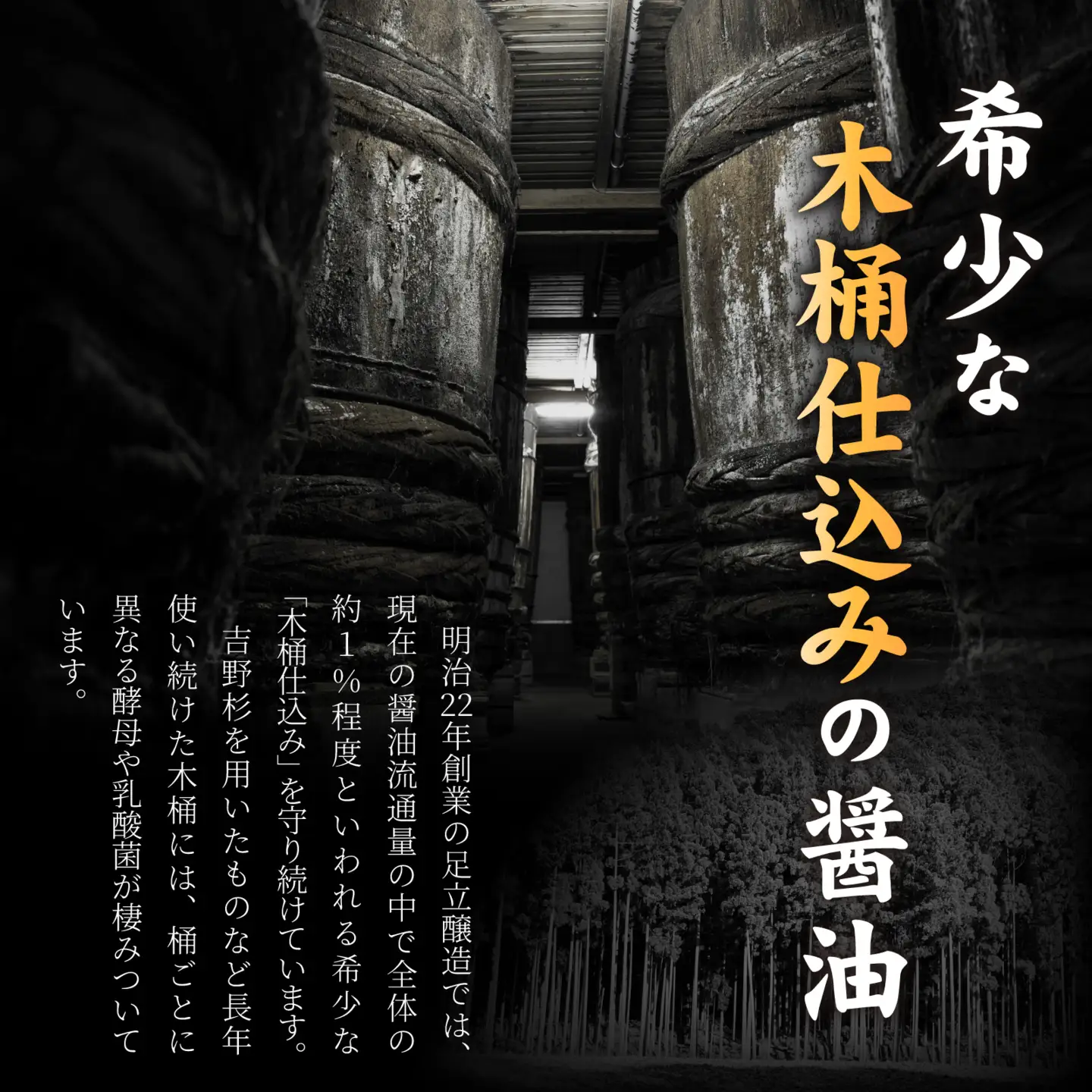 【木桶仕込み】 国産有機醤油 淡口・濃口 詰め合わせ｜醤油