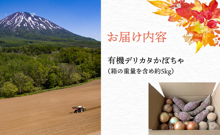 かぼちゃ オーガニック デリカタ 北海道産 かぼちゃ【約5kg】