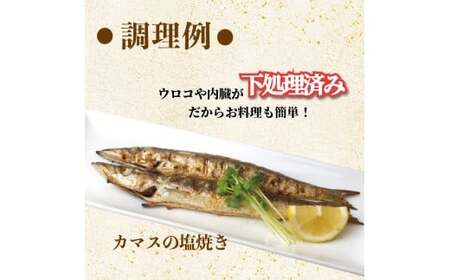 冷凍鮮魚セット 1kg(2~4種) 下処理済み 冷凍鮮魚［1713］