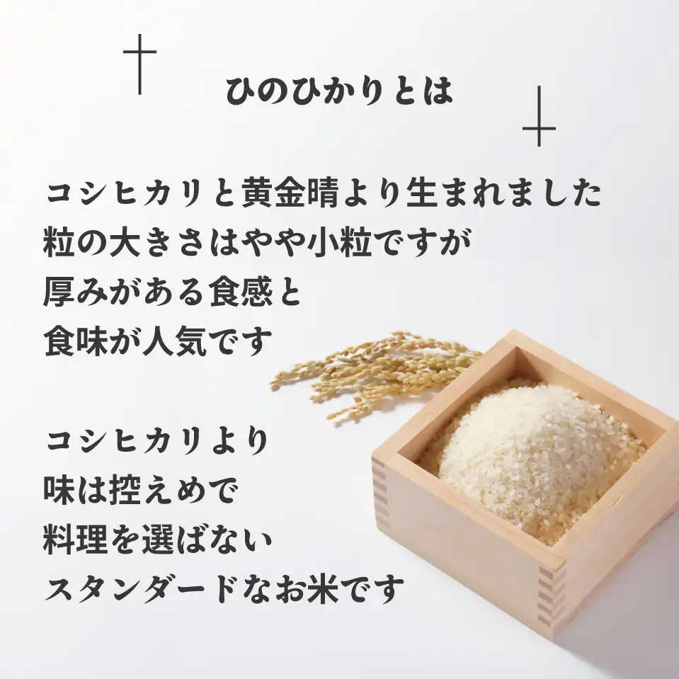 【令和7年産】わがまち育ち 無洗米 ひのひかり 10kg_HA1961 米 白米