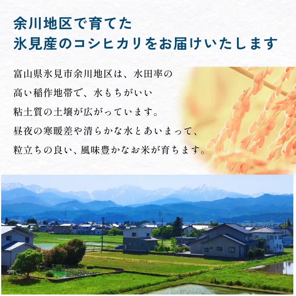 【3回定期便】富山県産 コシヒカリ 10kg 富山県 氷見市 米 コシヒカリ 定期便