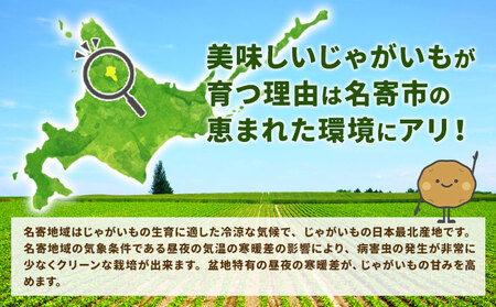北海道名寄市産 じゃがいもと玉ねぎセット 10kg じゃがいも 5kg 秀品 玉ねぎ 5kg