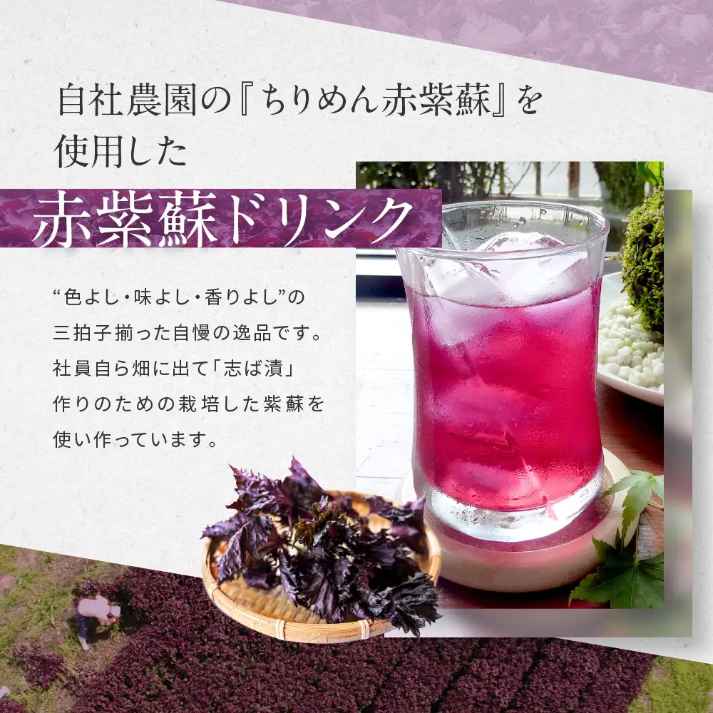 【土井志ば漬本舗】京都大原ちりめん赤紫蘇ジュース 180ml×20本入り｜赤紫蘇ジュース ドリンク 人気セット