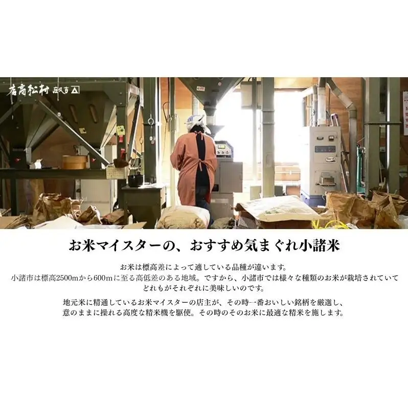 お米マイスターおすすめ小諸米 精米 10kg