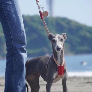 小～中型犬用スライドコントロールハーネス ベンズヌメ（ブッテーロ /ルガトショルダー） レッドピンク