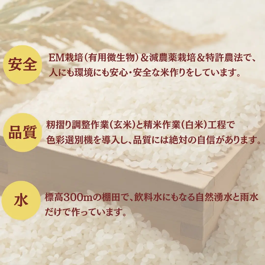 【令和8年 先行予約 定期便】魚沼産コシヒカリ 30kg (5キロ×6回) 佐藤農場 | 新潟県 おこめ コシヒカリ 小千谷