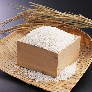 もち米きぬのはだ1.5kg×2袋【1681007】