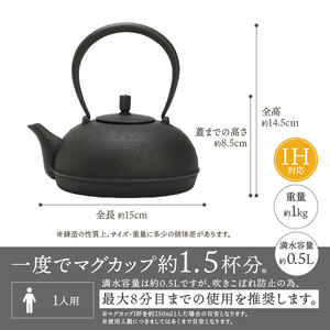南部鉄器 鉄瓶 Sayu (サユ) 小 0.5L IH調理器 伝統工芸品 やかん ケトル キッチン用品 食器 日用品 雑貨[Y0060]