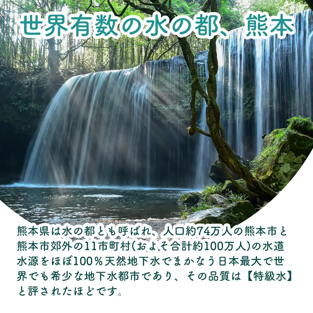 阿蘇のメイスイ 2L 1ケース(6本入り) 天然水 水 人気 ミネラルウォーター 備蓄 防災 飲料水 熊本県 阿蘇市