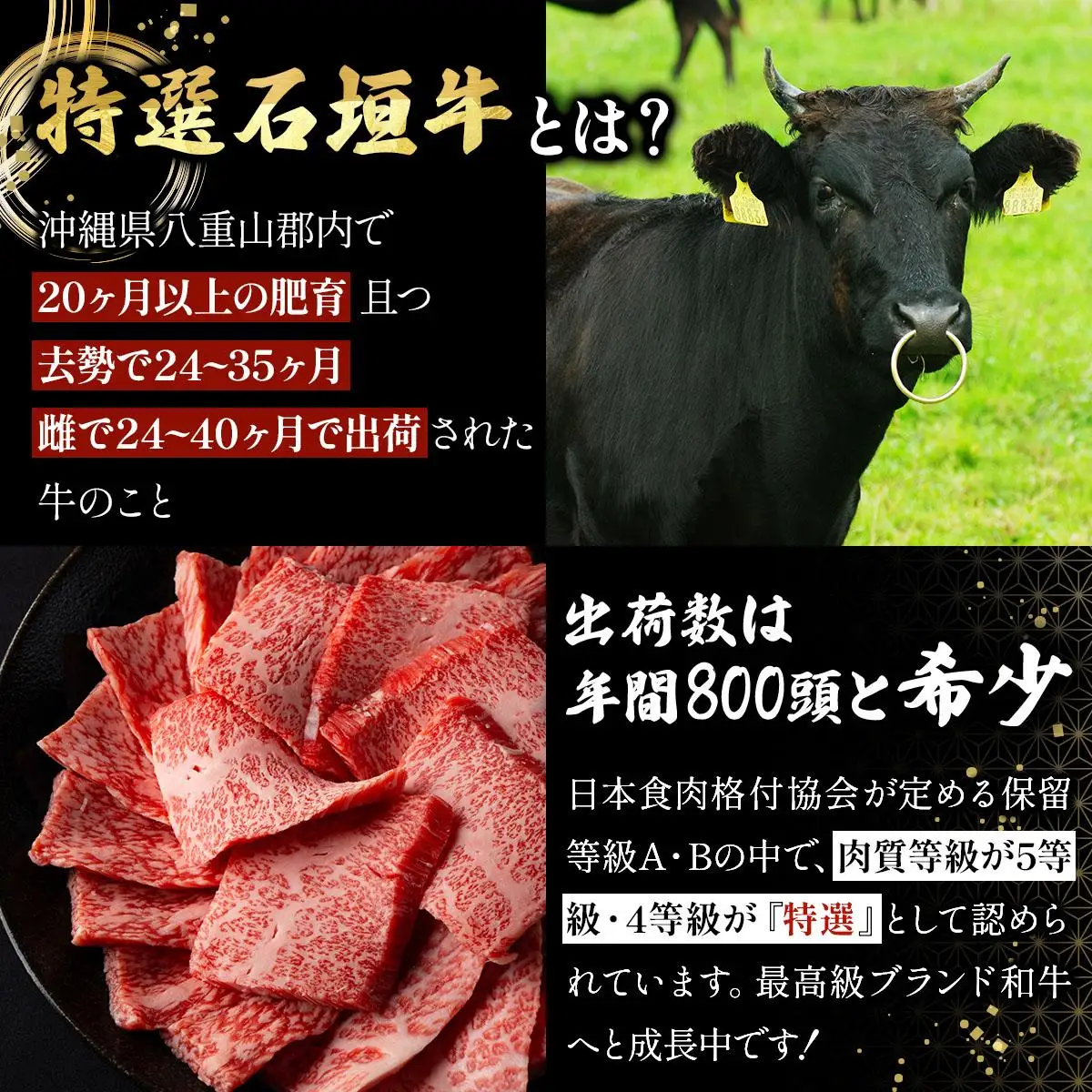 石垣牛 ミンチ 300g 4パック