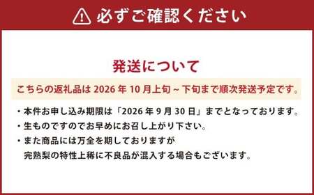 特産荒尾ジャンボ梨3個 約3kg 【2026年10月上旬発送開始】 果物 フルーツ なし 梨 くだもの