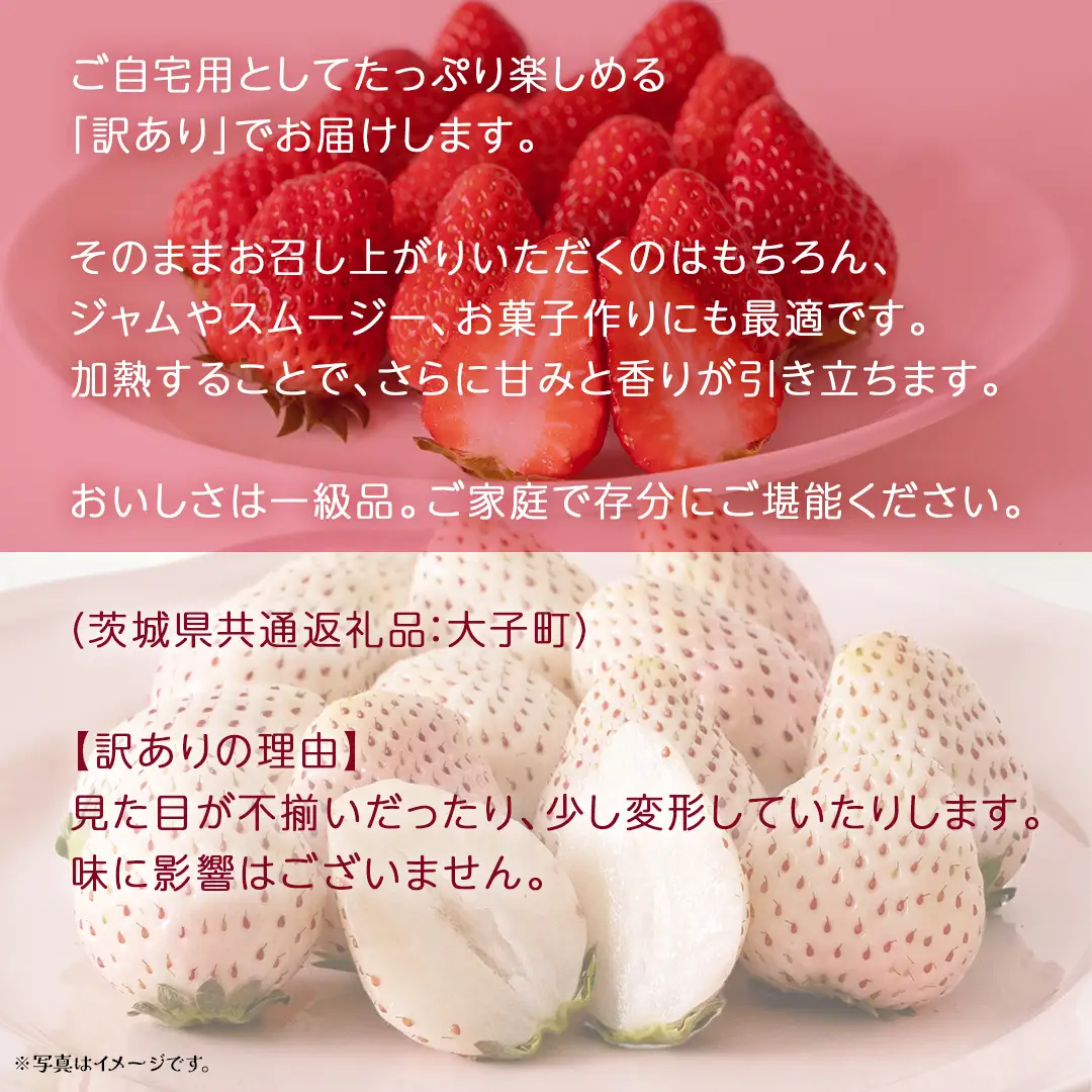 訳あり 紅白いちご 1kg【2027年3月発送開始】(茨城県共通返礼品：大子町) 苺 果物 フルーツ 果実 ご家庭用