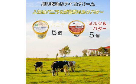 長門牧場アイスクリーム10個プレミアムセットCA-1　白い食べ比べセット（プレミアムフレーバー「ミルク＆バター」、バニラ各5個）　人気スイーツ　濃厚ミルク　直送　牛乳　生乳　国産　夏ギフト　長野県　贈答品　お土産　お中元　お歳暮　クリスマス