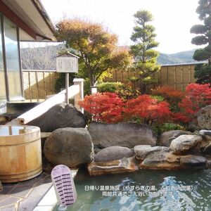 入浴回数券 日帰り温泉 大人用 中学生以上 長野県 入浴回数券【11枚綴り】
