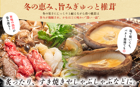 ＜冬季限定 原木生しいたけ 訳あり 約1kg＞ 20個前後 原木生椎茸 しいたけ シイタケ きのこ 家庭用 バーベキュー BBQ すき焼き しゃぶしゃぶ 料理 国産 愛媛県産 横林自治振興協議会 愛媛県 西予市【冷蔵】『11月中旬～3月上旬に順次出荷予定』NYJ0009