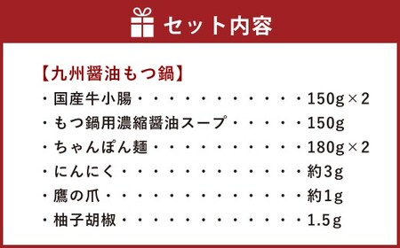 【博多鍋セット2】博多の人気2大鍋のセット「九州醤油もつ鍋」と「博多水炊き（切り身）」計4～6人前 国産 モツ 醤油 水炊き 鶏肉 牛モツ 鍋