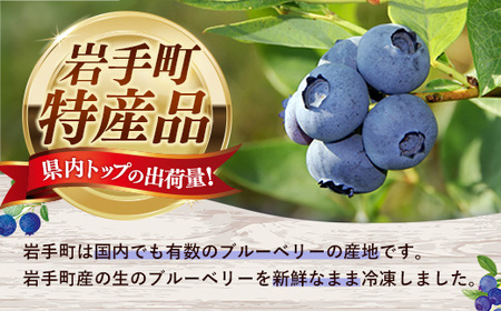 【訳あり】岩手町産冷凍ブルーベリー1kg フルーツ 果物 くだもの おやつ スイーツ デザート ジャム スムージー ヨーグルト お菓子作り 冷凍 訳あり 加工用 業務用 岩手県 岩手町 岩手缶詰