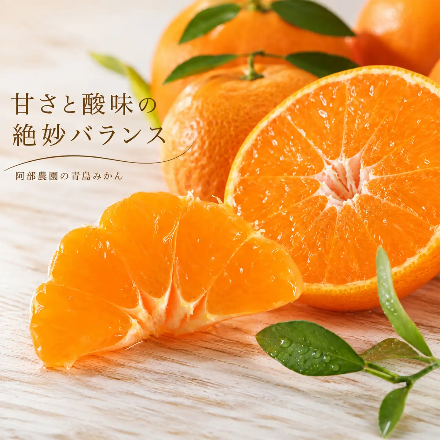 【2027年先行予約】 青島みかん 約8kg 訳あり品 阿部農園 温州みかん 1月発送 ＜112-003＞