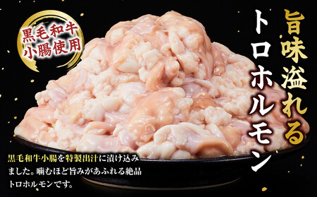 黒毛和牛トロホルモン（小腸）　特製だし1.5kg ( 300g × 5パック )【2026年10月発送】