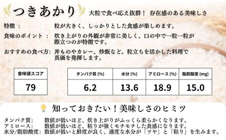 【先行予約】JAS有機米 つきあかり 玄米 5kg | 令和8年産 渡部有機農園